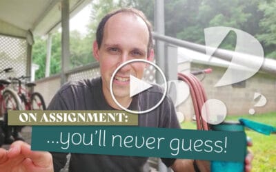 On Assignment: . . .you’ll never guess!