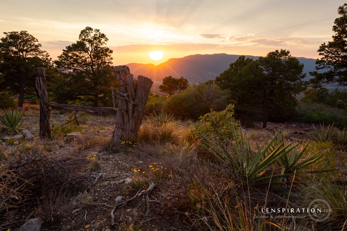 Cibola National Forest, New Mexico