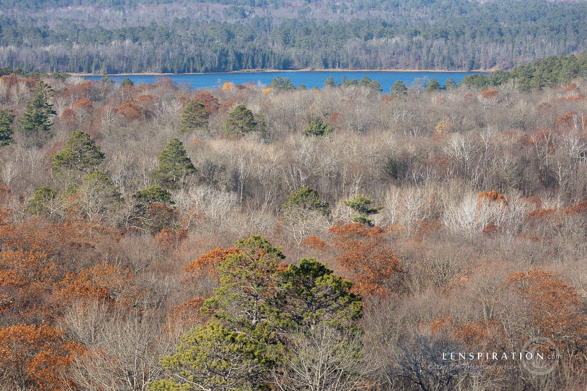 Midday view from Aiton Heights Observation Tower, Itasca State Park, Minnesota