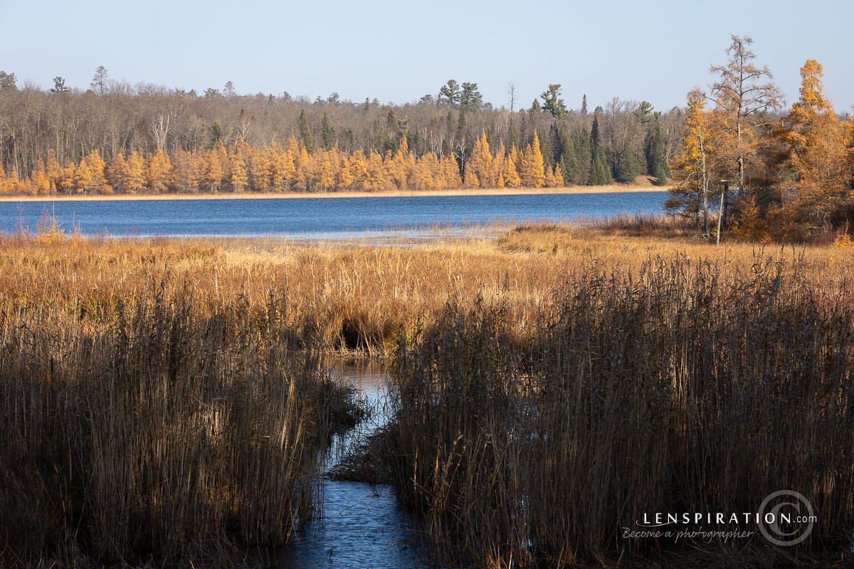 Wilderness Drive, Itasca State Park, Minnesota