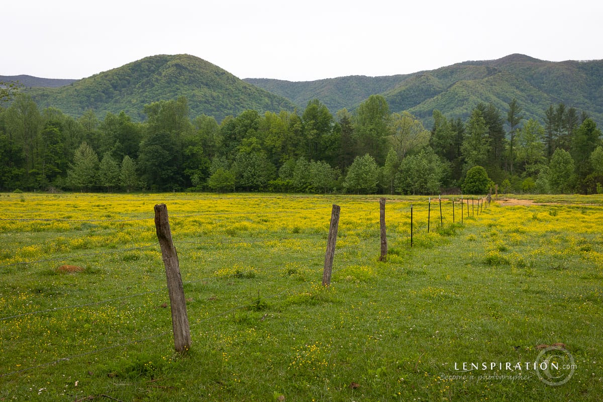 Cloudy spring morning at Cades Cove, Tennessee, Smokey Mountain National Park