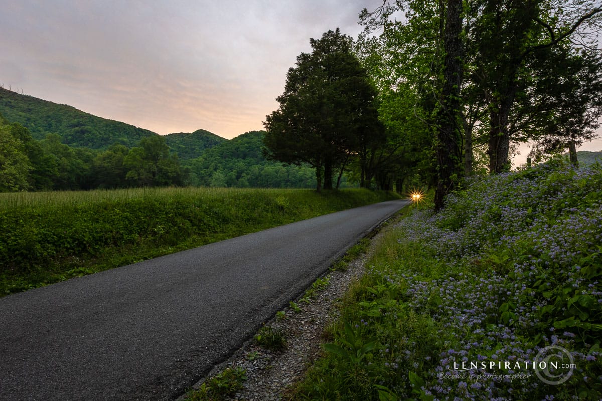 Road with oncoming vehicle at Cades Cove, Tennessee, Smokey Mountain National Park, during early morning