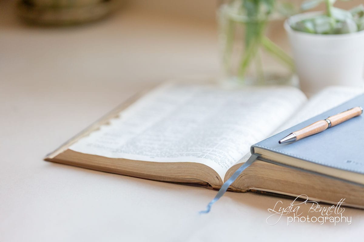 Blue journal and wooden pen on Bible