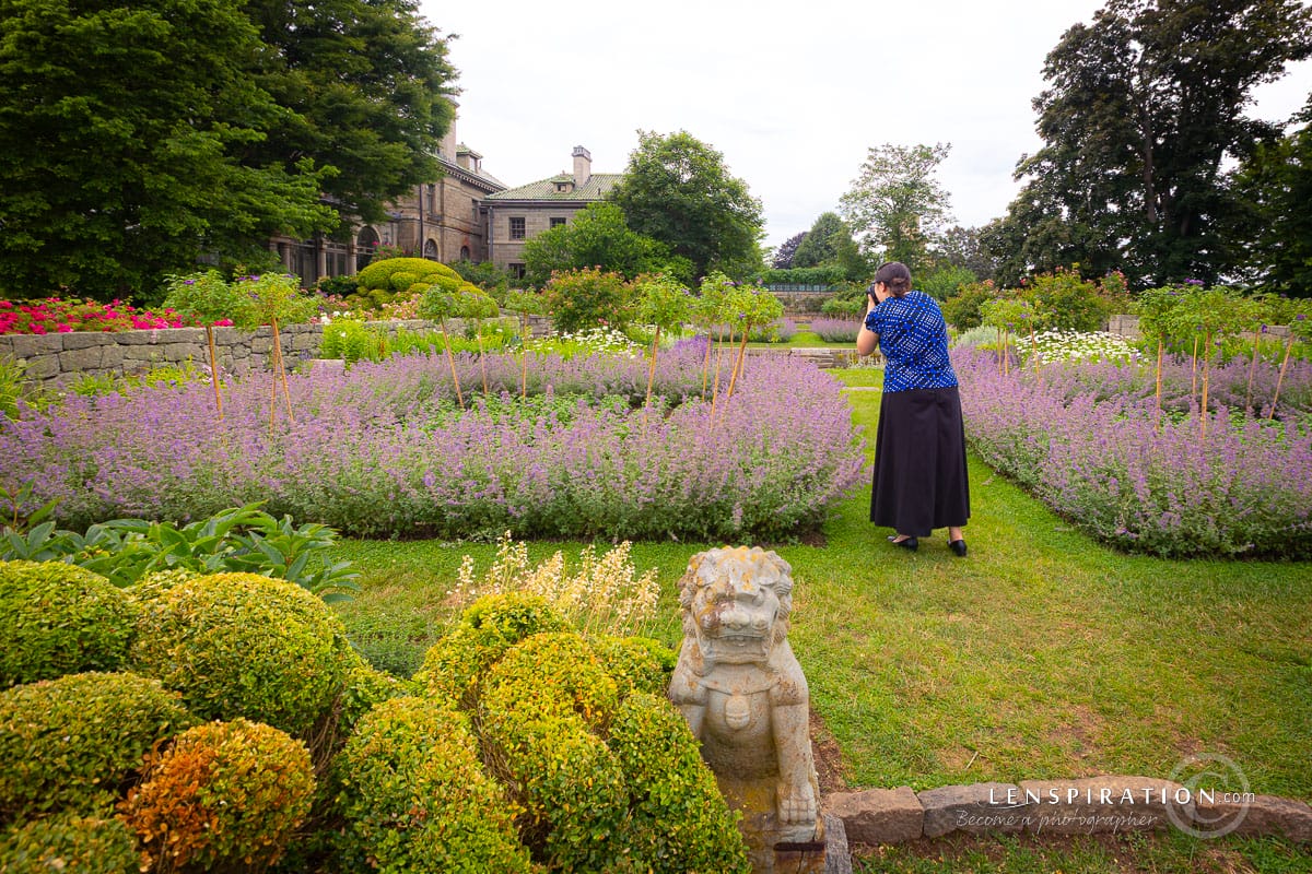 A photographer taking pictures in the Harkness gardens