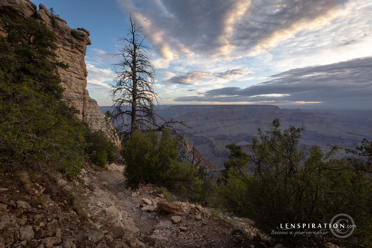 Trail descending into Grand Canyon from Grandview Point Overlook