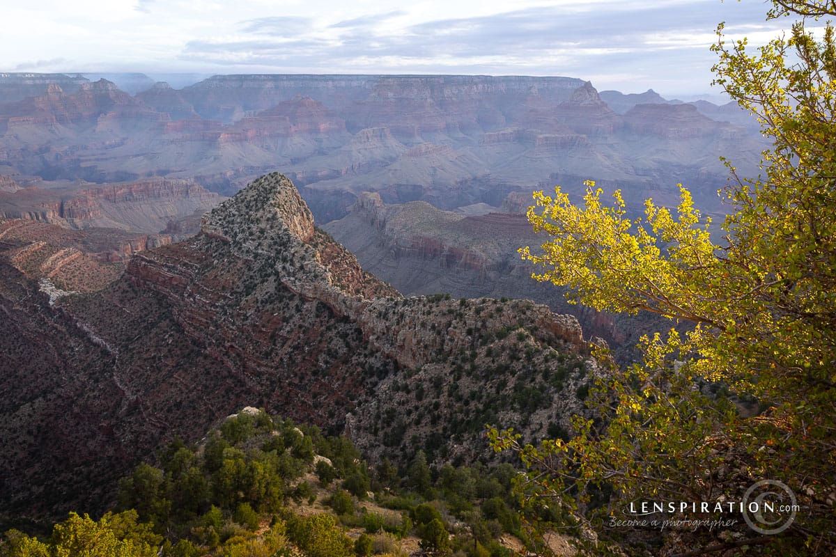 View into the Grand Canyon in summer