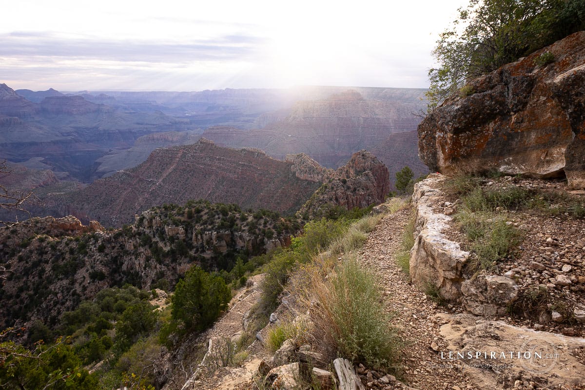 Path descending into the Grand Canyon