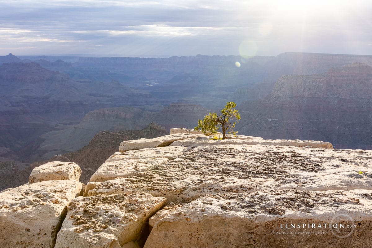 Taken from somewhere along the trail below Grandview Point overlook