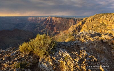 Grand Canyon Photography: Navajo Point