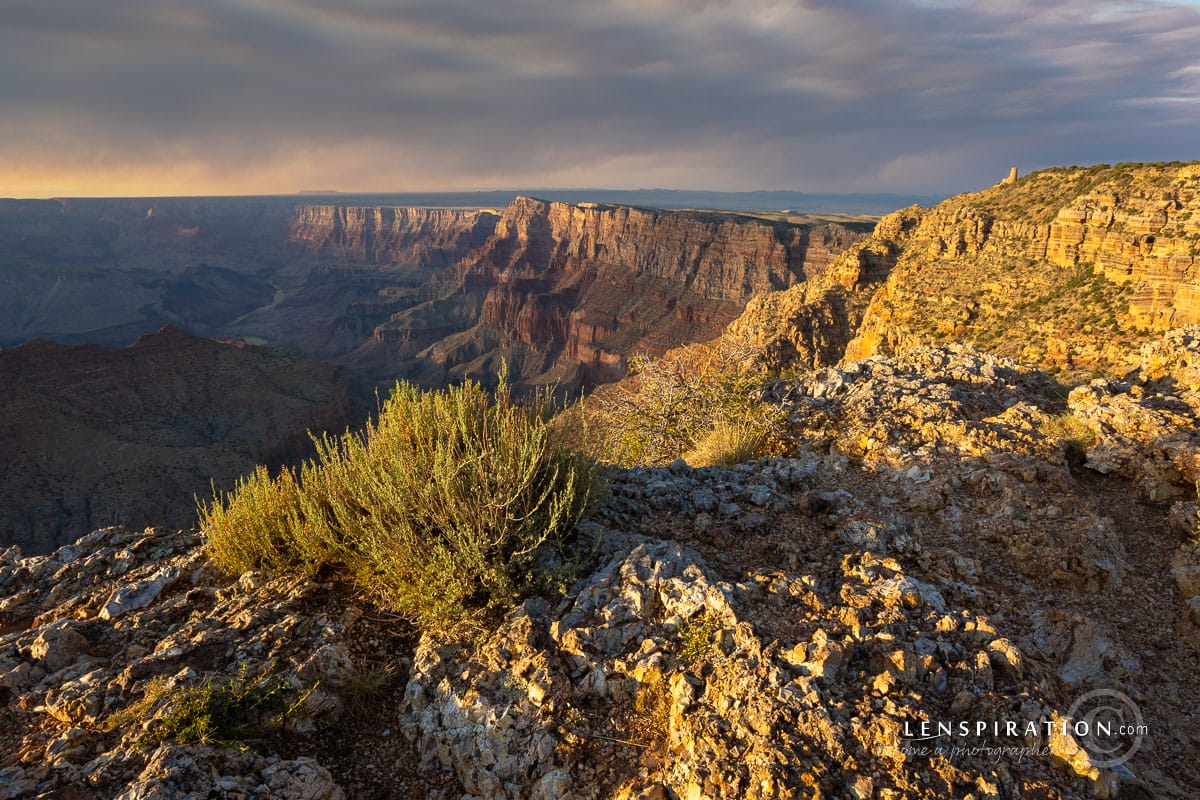 The main view at Navajo Point, Grand Canyon, right at the beginning of Golden Hour.