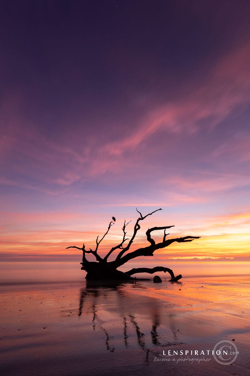 Jekyll Island sunrise on Driftwood Beach