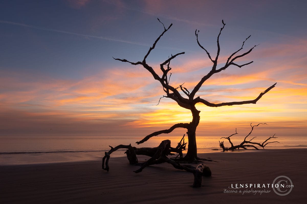 Jekyll Island sunrise on Driftwood Beach