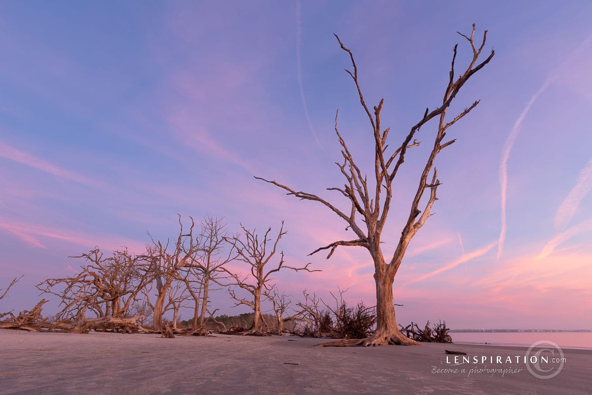 Jekyll Island sunrise on Driftwood Beach