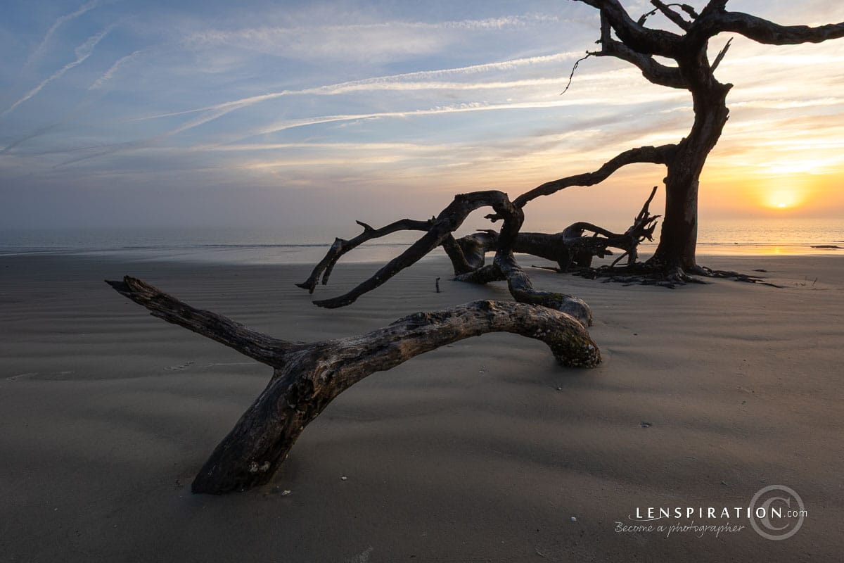 Jekyll Island sunrise on Driftwood Beach