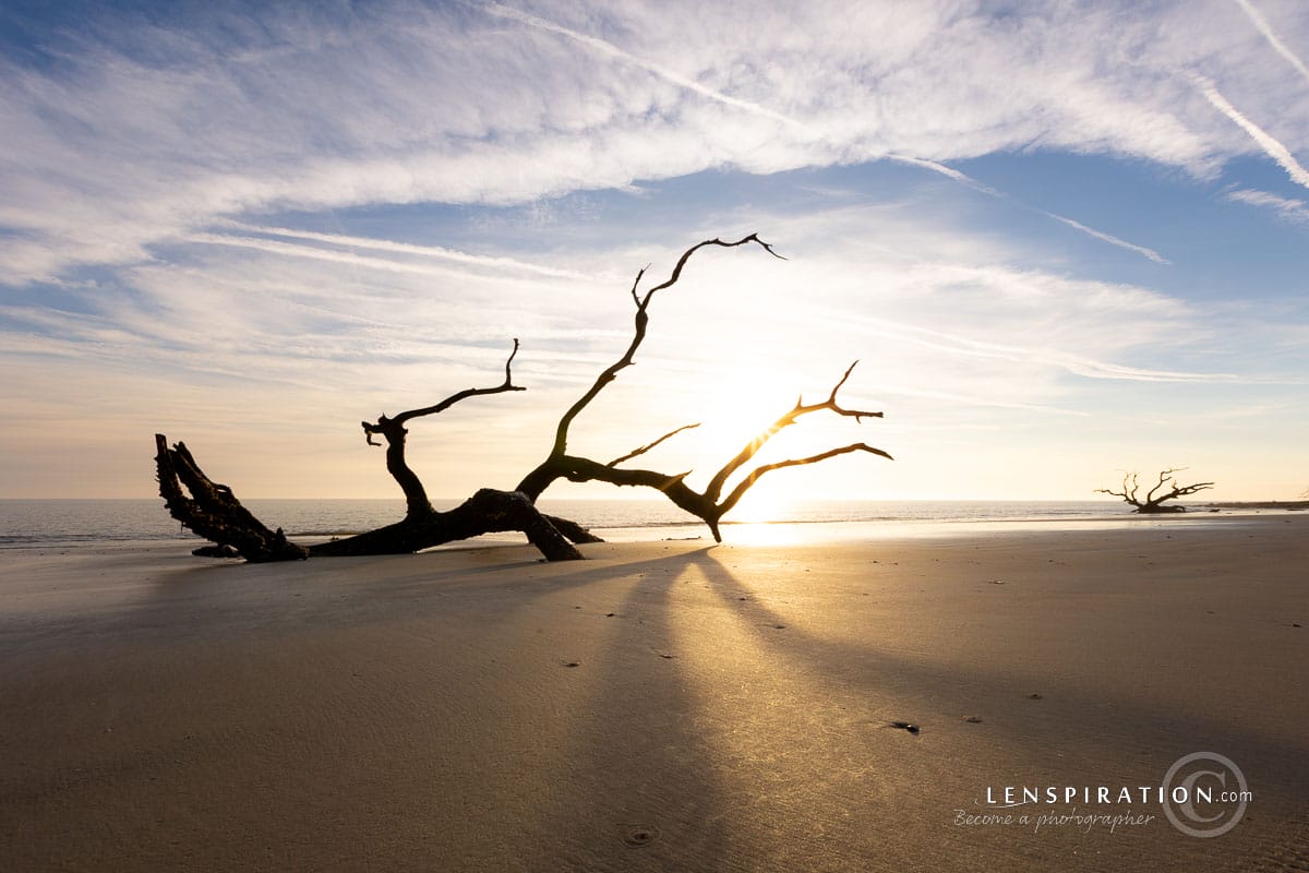 Jekyll Island sunrise on Driftwood Beach