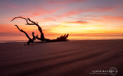 The Jekyll Island Sunrise I Didn’t Choose