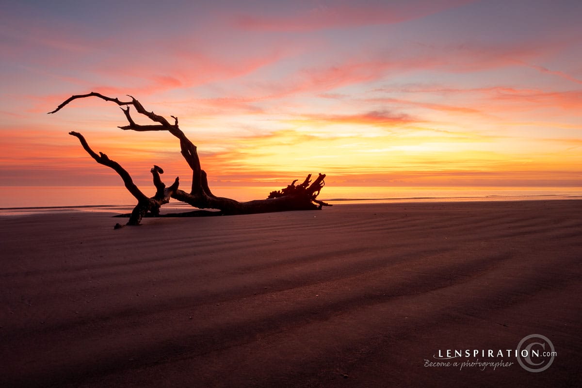 Jekyll Island sunrise on Driftwood Beach