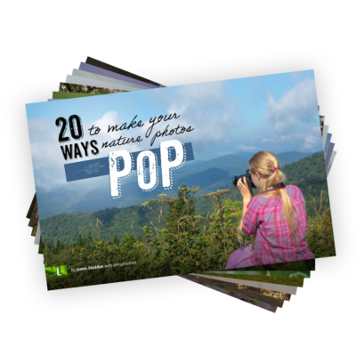 20 Ways to Make Your Nature Photos Pop - Ebook