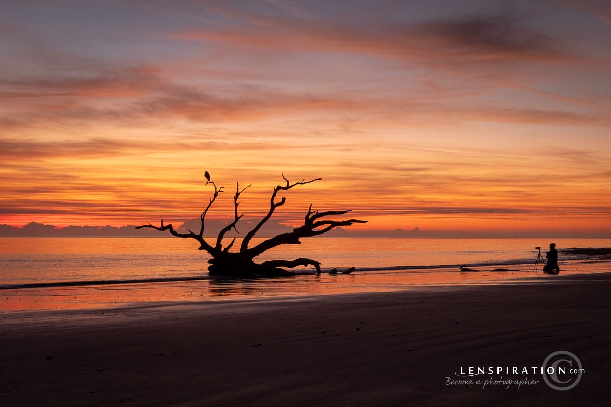Providential sunrise, Driftwood Beach, Jekyll Island, Georgia