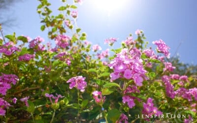 Student Photographer Spotlight: Ellie Handley
