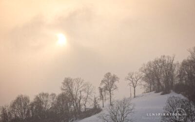 The Rarity of a Perfect Winter Scene