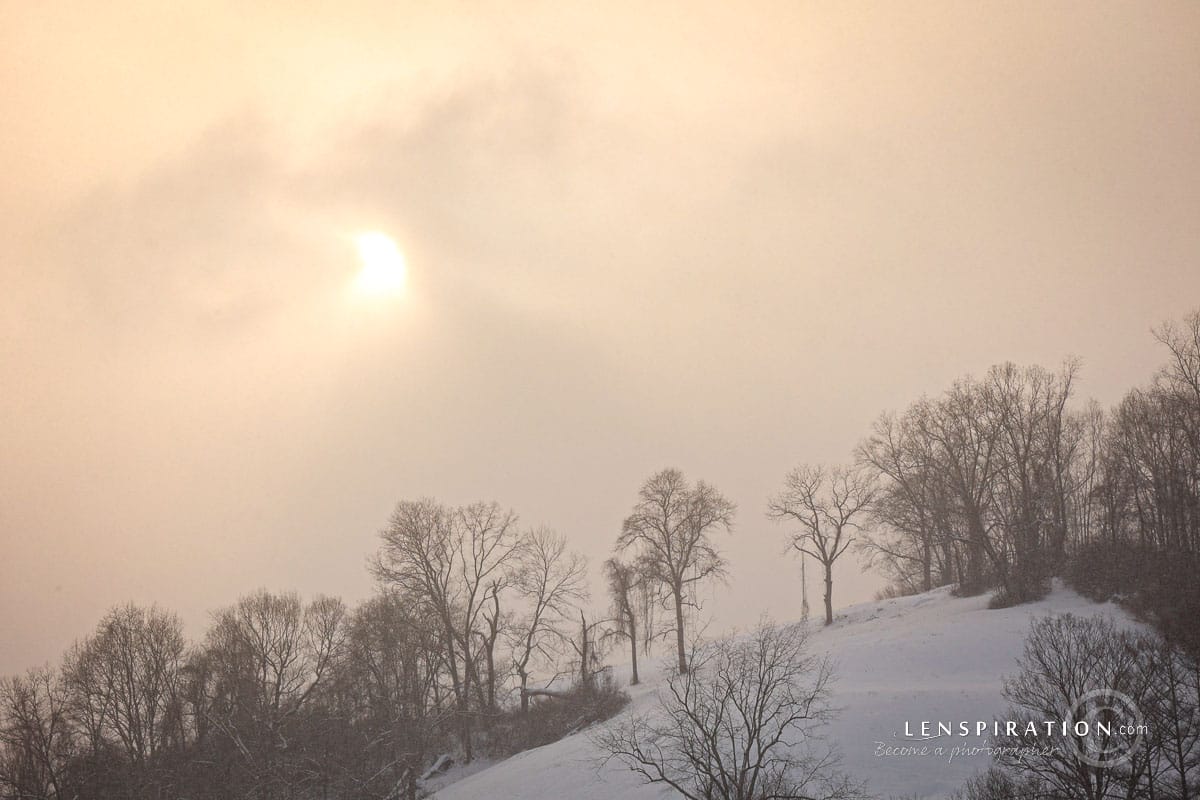 Winter photography from my home in West Virginia