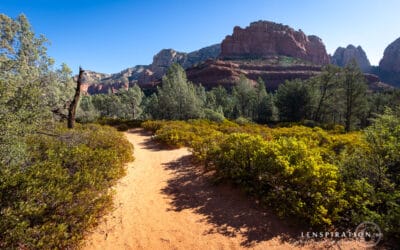 A Picture‑Trail Through the Desert
