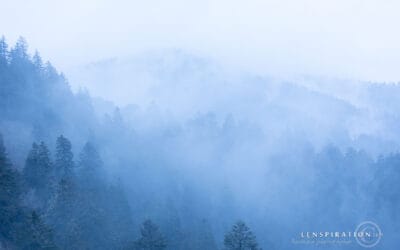 Rainy Day in the Smokies