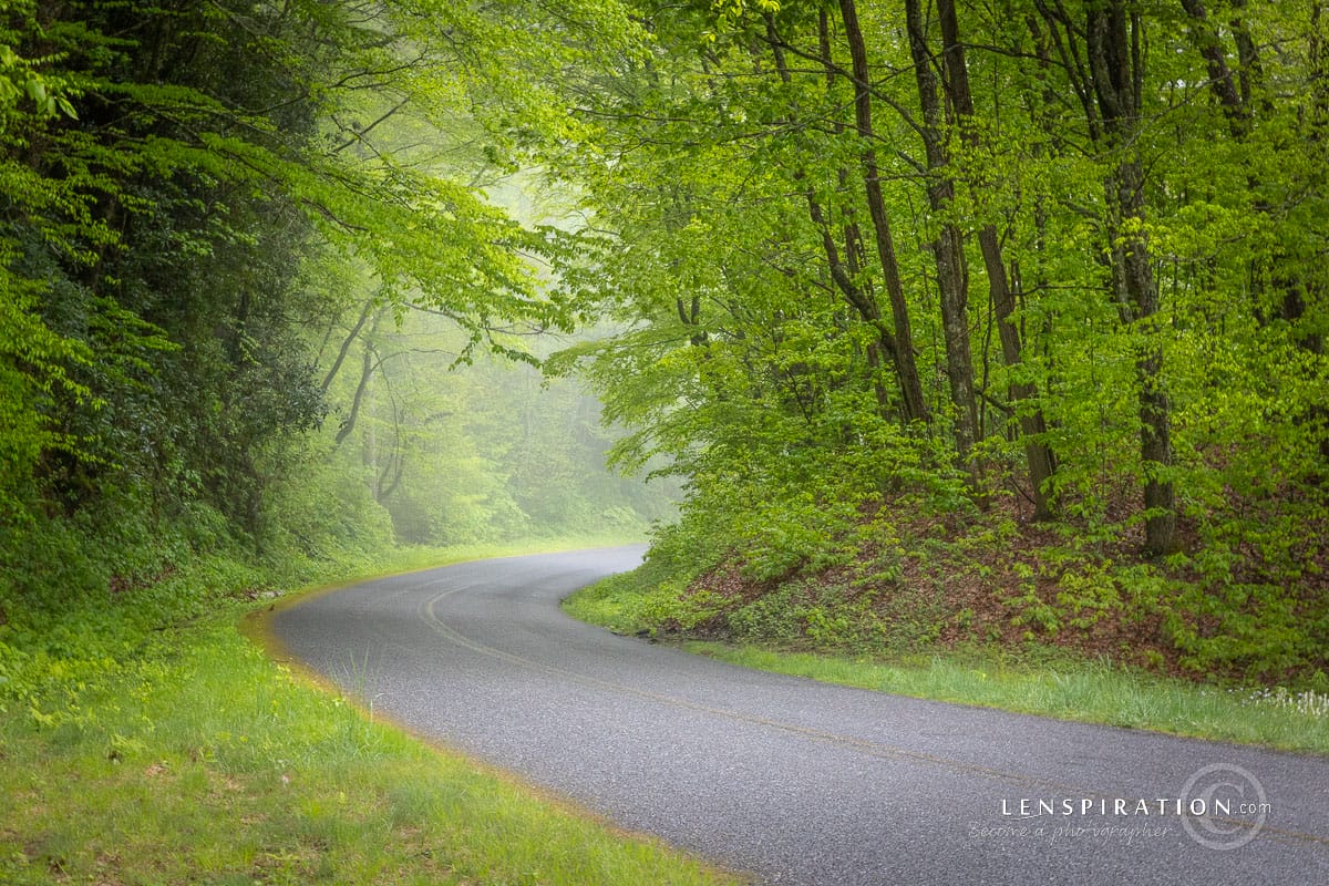 Curve in the road in the smoky mountains on the blue ridge parkway