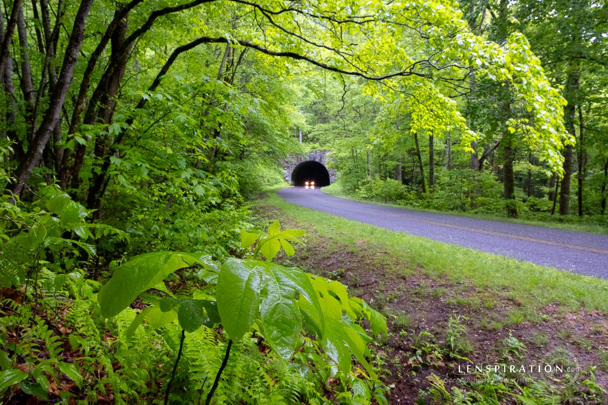 Springtime green trees along road with Sherrill Cove Tunnel blue ridge parkway smoky mountains