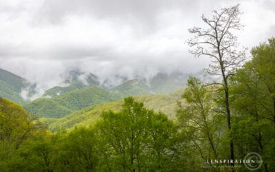 How We Took Amazing Rainy-Day Photos in the Smoky Mountains