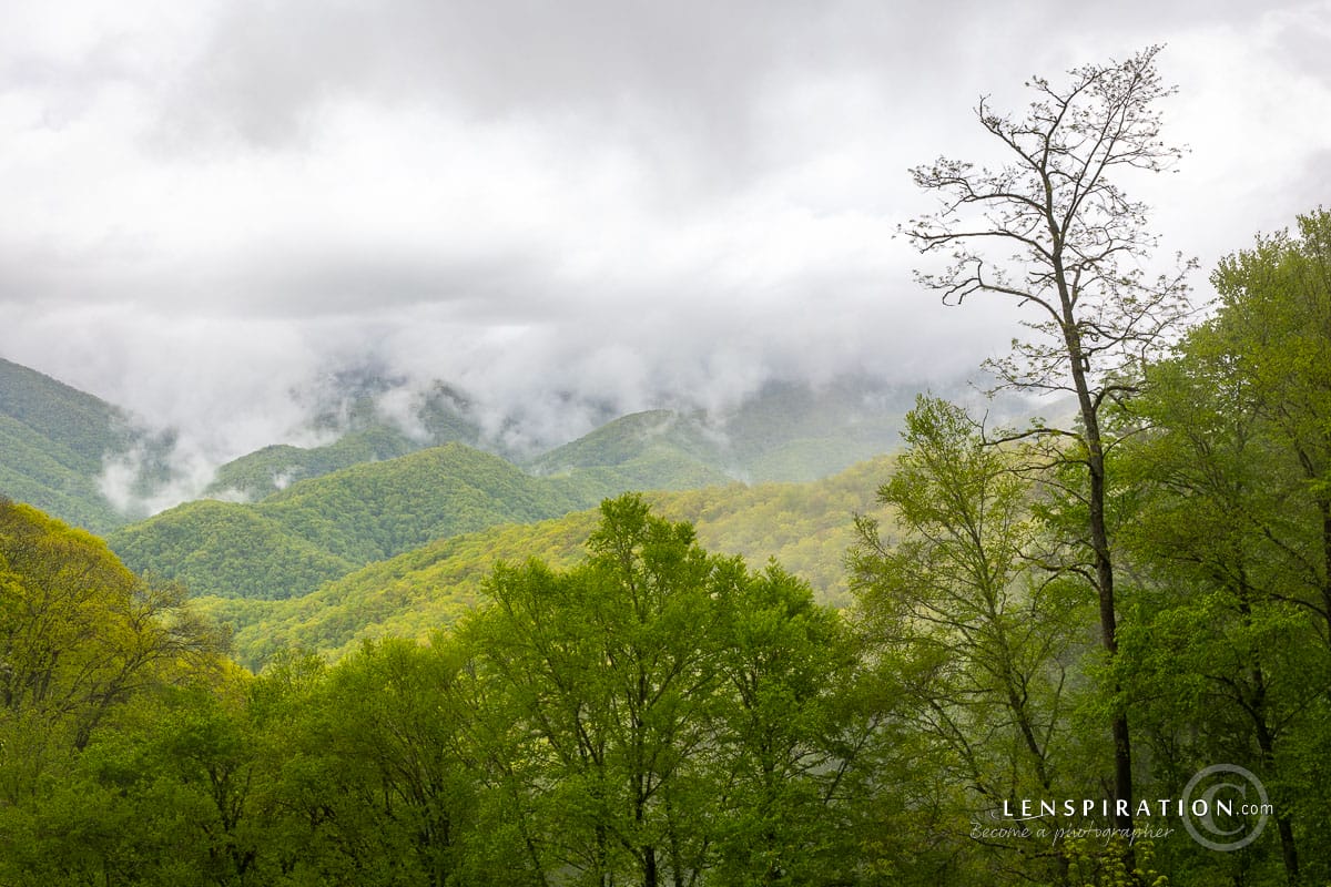 Mist rolling off the mountains on a rainy day in Tennessee Smoky Mountains