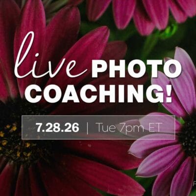 Photo Coaching with Lenspiration #127