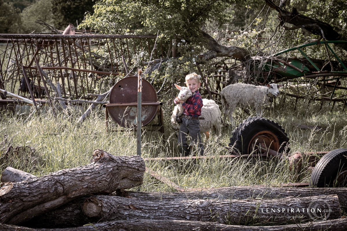 A boy hugging a sheep