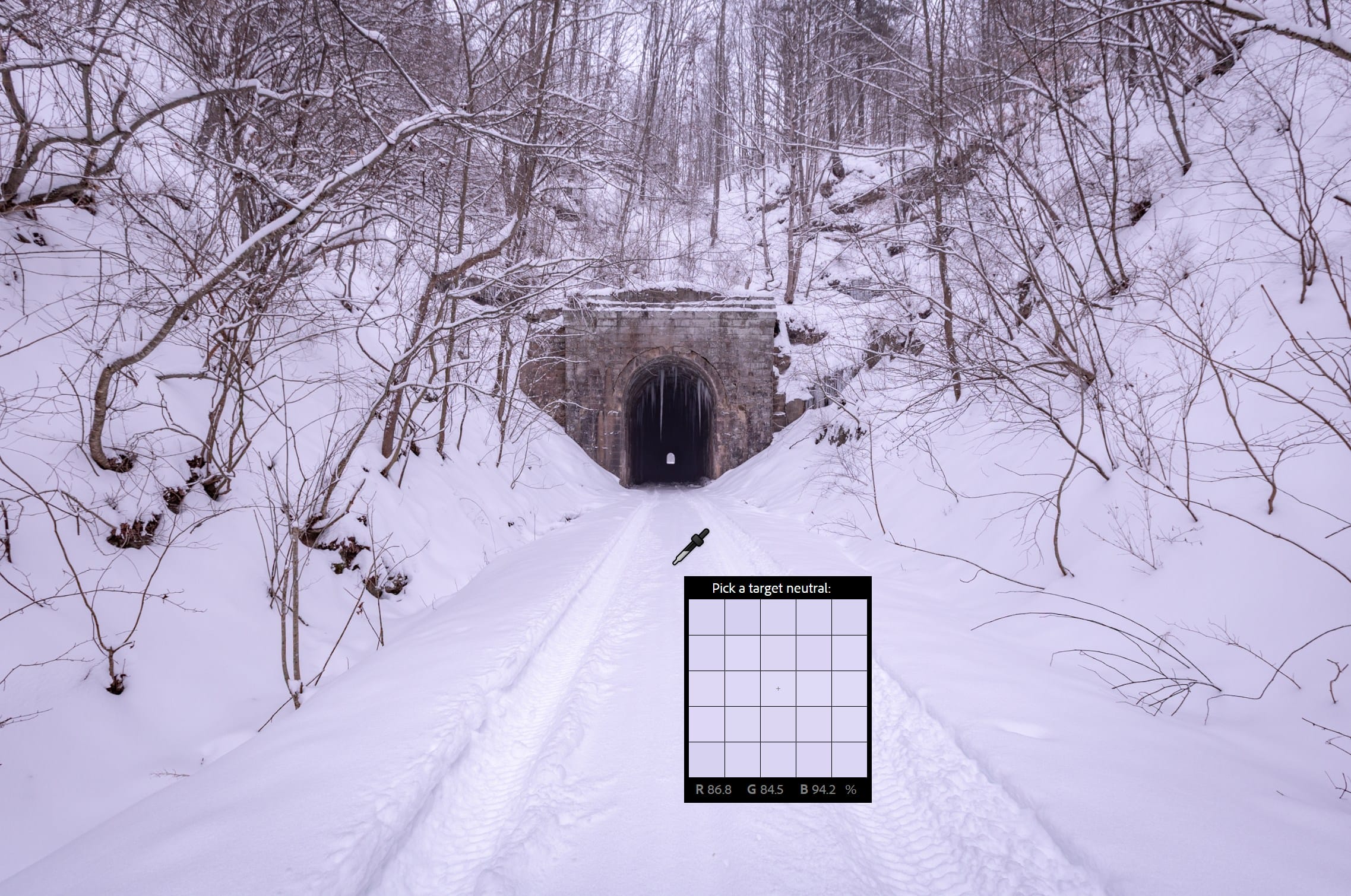 A snow‑covered tunnel in West Virginia surrounded by winter scenery, showcasing crisp textures and cool tones — an atmospheric study in light, shadow, and natural color contrast.