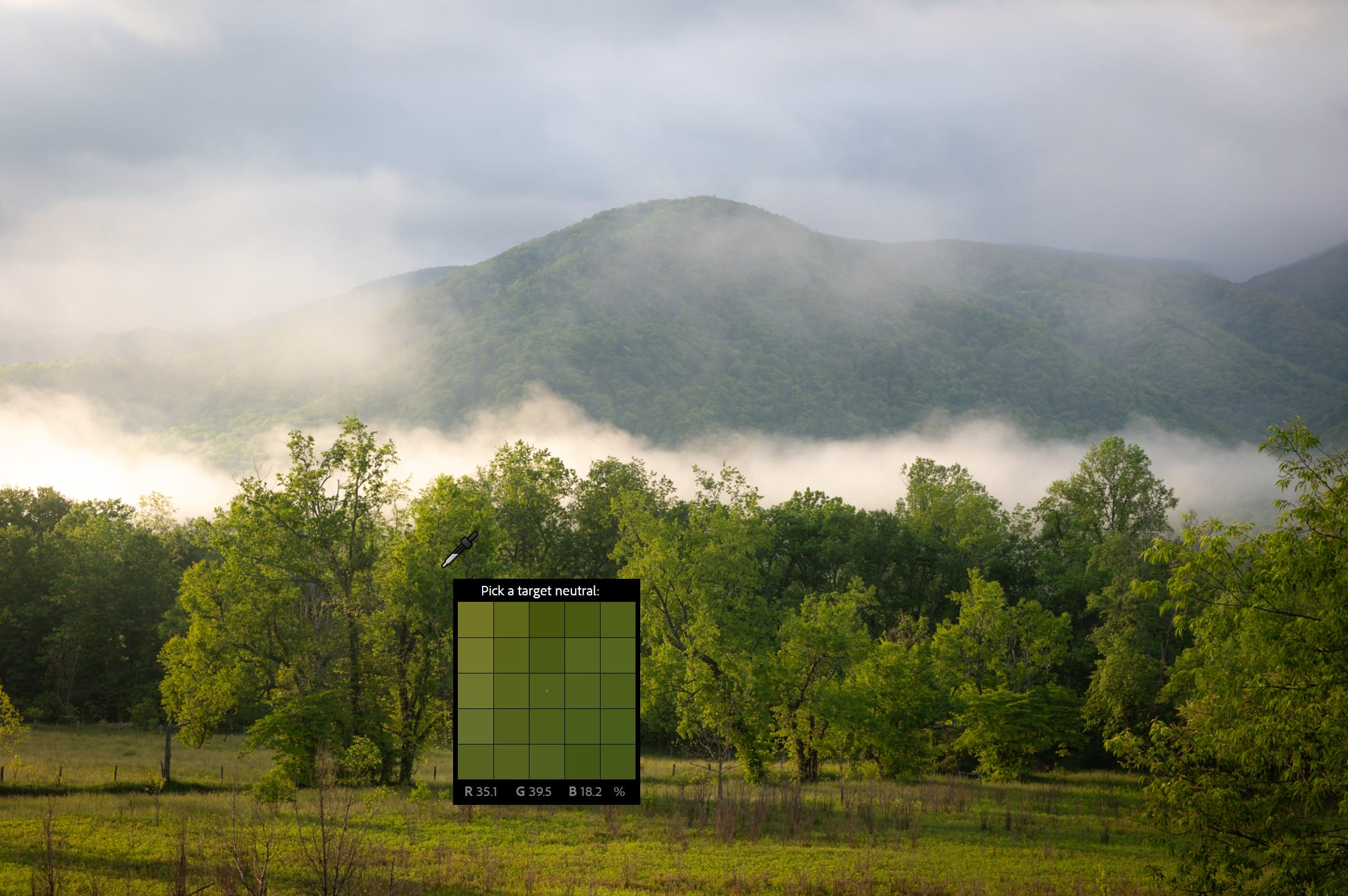  A peaceful late‑spring scene in Cades Cove featuring lush greenery, soft light, and natural color contrasts — a tranquil view that highlights the beauty and harmony of Appalachian landscapes.