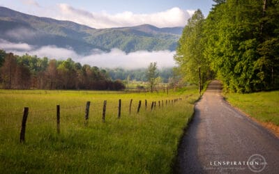 What Do YOU Think About These Photos?