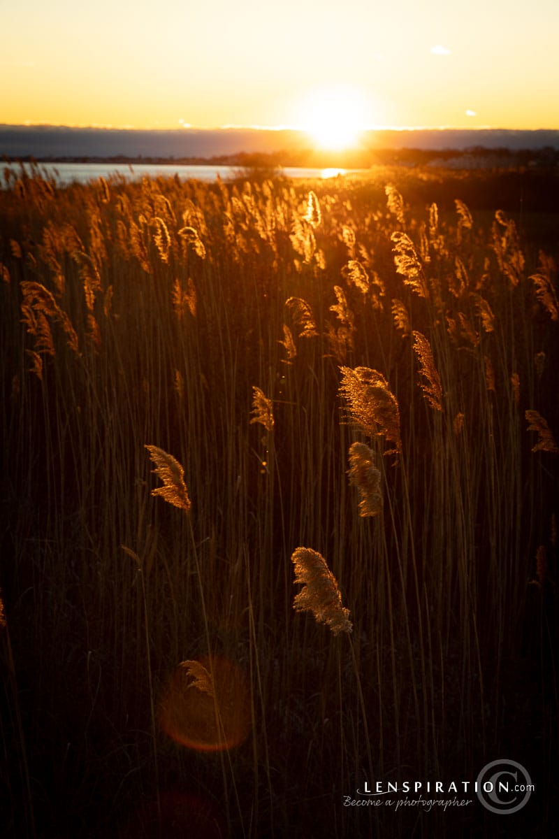 Sunset at Silver Sands State Park in Milford Connecticut with glowing sunlight