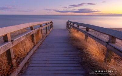 5 Reasons I Love July (As a Photographer)