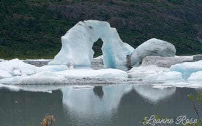 Student Photographer Spotlight: Leanne Loewen
