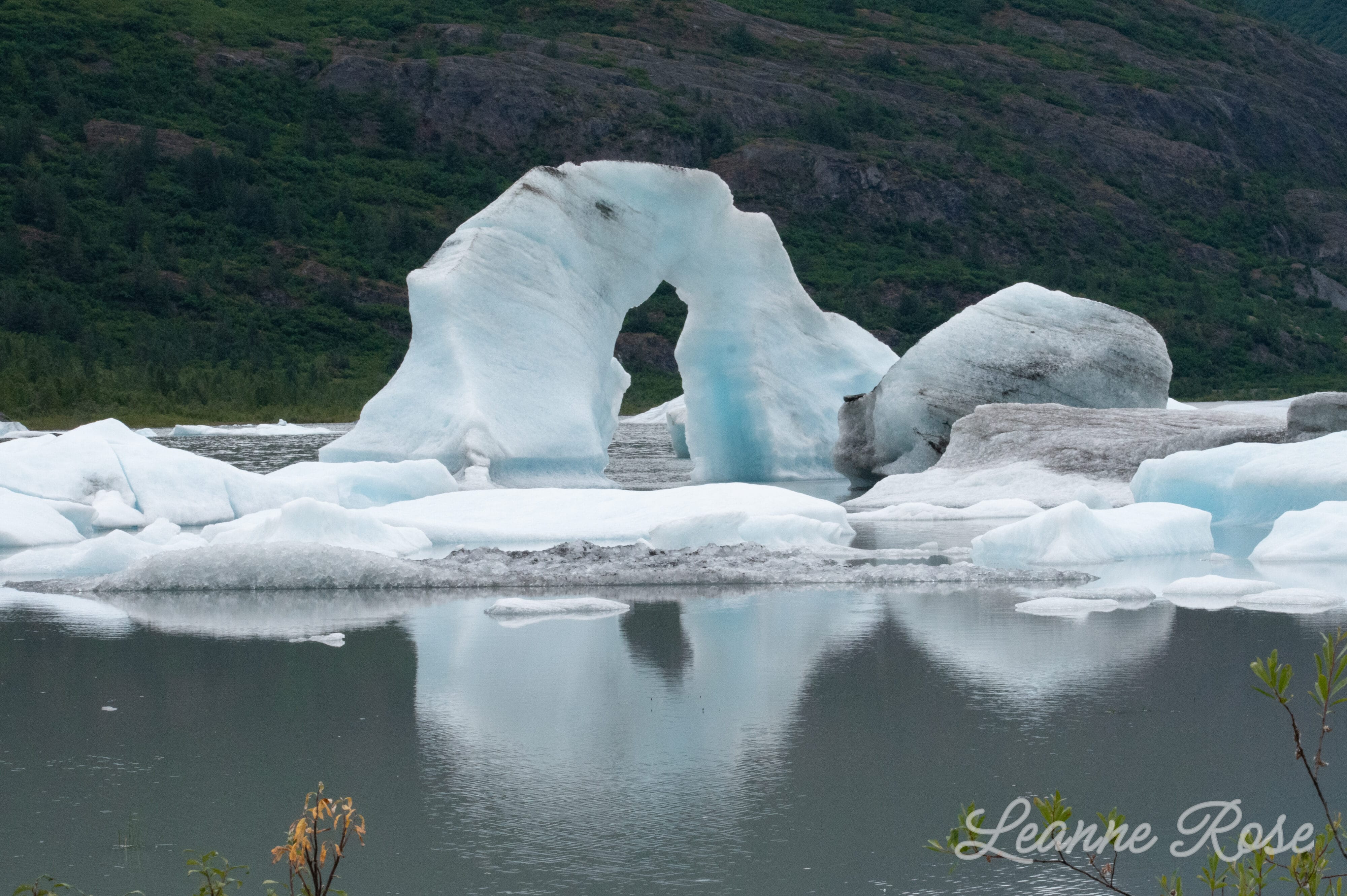 Alaskan scenery by Lenspiration student photographer