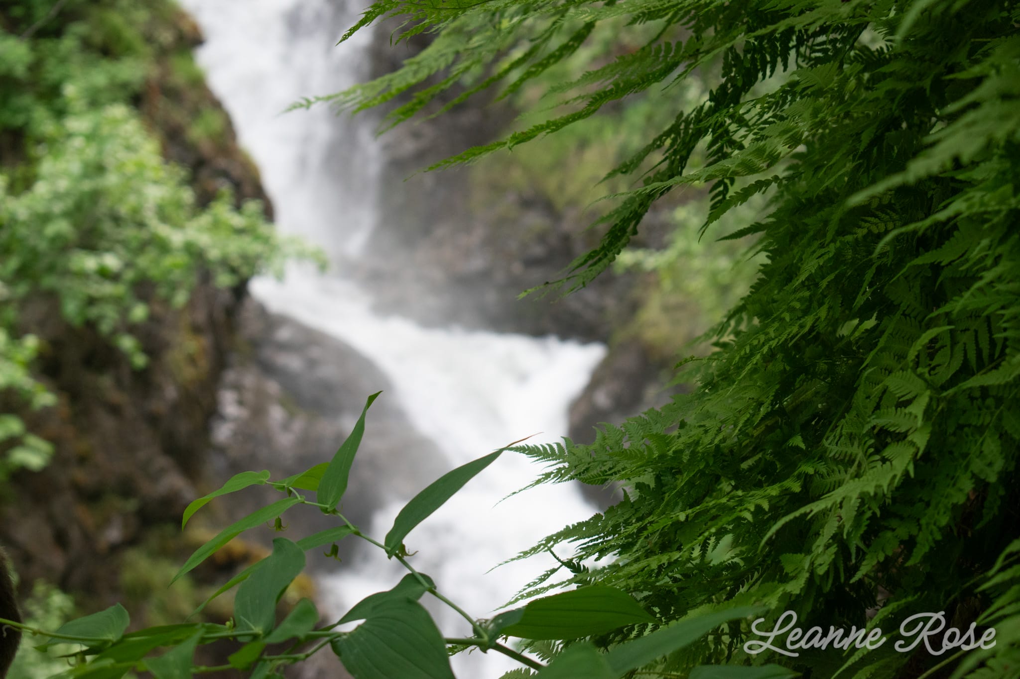 Waterfall in Alaska by Lenspiration student homeschool photographer
