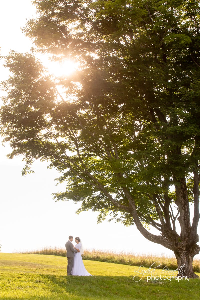 Wedding photos at Topsmead State Forest in Connecticut