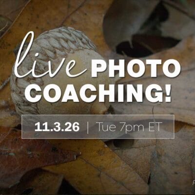 Photo Coaching with Lenspiration #130