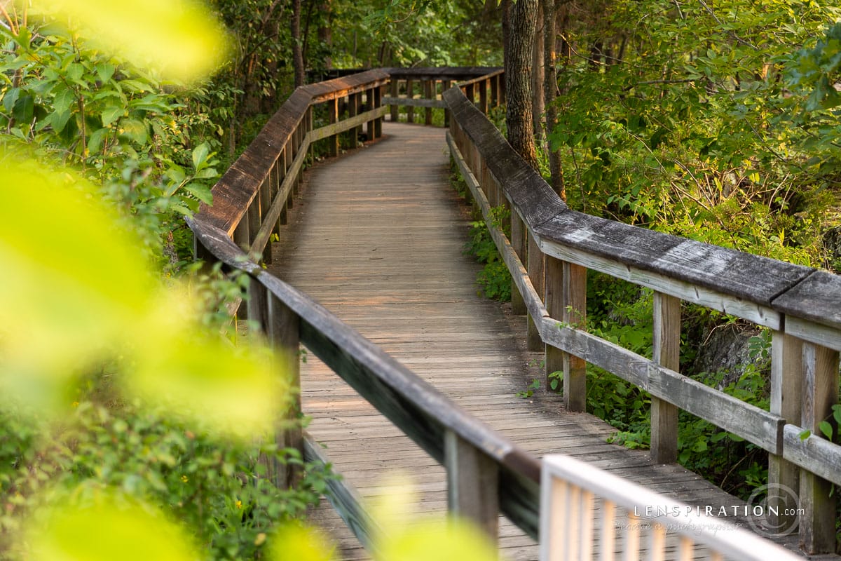 The trail turned into a boardwalk